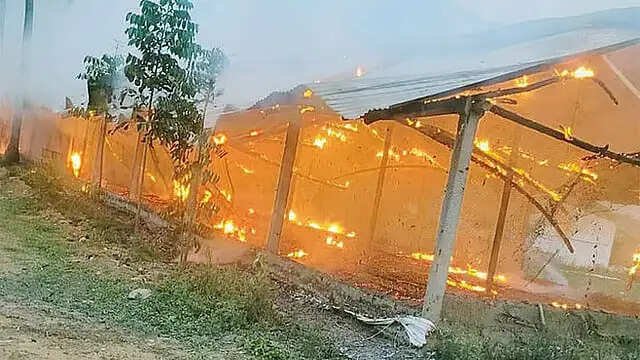 கோழிப்பண்ணையில் பயங்கர தீ விபத்து: 4,200 கோழிக்குஞ்சுகள் கருகி சாம்பல்!