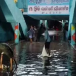 கடலூரில் பெய்த கனமழை; பொதுமக்கள் இயல்பு வாழ்க்கை பாதிப்பு