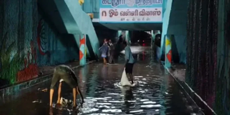 கடலூரில் பெய்த கனமழை; பொதுமக்கள் இயல்பு வாழ்க்கை பாதிப்பு